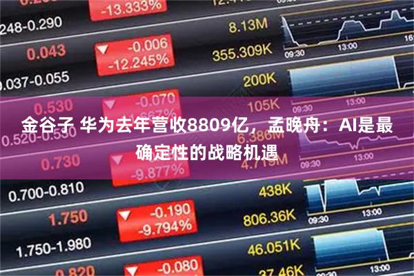金谷子 华为去年营收8809亿，孟晚舟：AI是最确定性的战略机遇