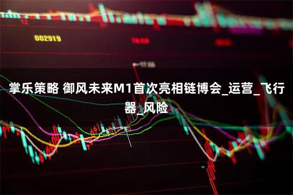 掌乐策略 御风未来M1首次亮相链博会_运营_飞行器_风险