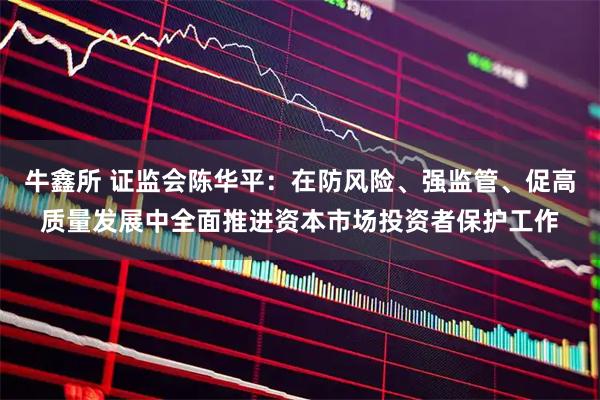 牛鑫所 证监会陈华平：在防风险、强监管、促高质量发展中全面推进资本市场投资者保护工作