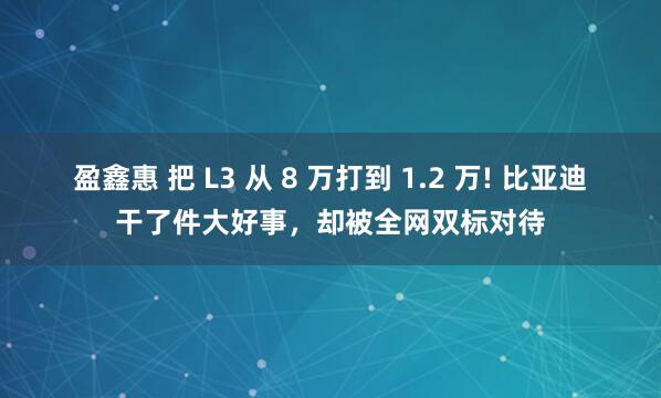 盈鑫惠 把 L3 从 8 万打到 1.2 万! 比亚迪干了件大好事，却被全网双标对待