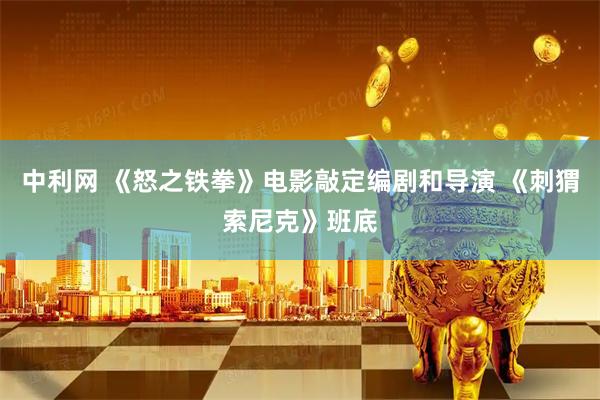 中利网 《怒之铁拳》电影敲定编剧和导演 《刺猬索尼克》班底