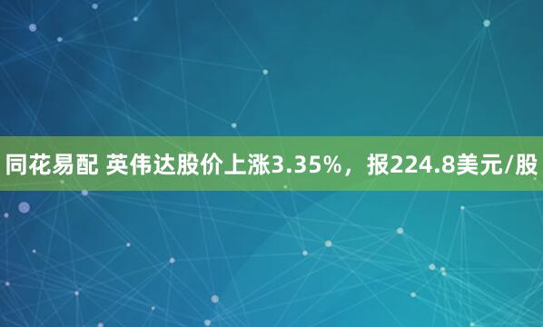 同花易配 英伟达股价上涨3.35%，报224.8美元/股